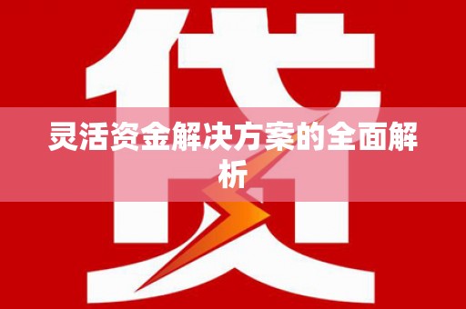 漳县灵活资金解决方案的全面解析