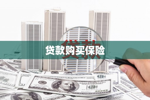 漳县贷款购买保险