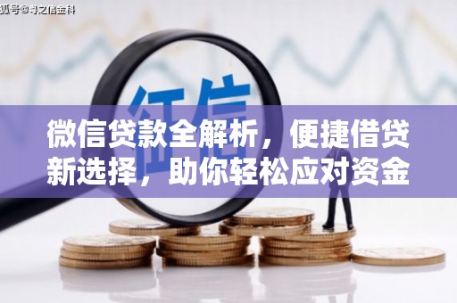 漳县微信贷款全解析，便捷借贷新选择，助你轻松应对资金需求