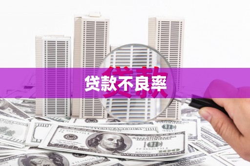 漳县贷款不良率