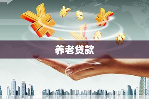 漳县养老贷款