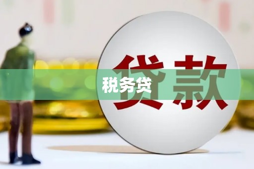 漳县税务贷