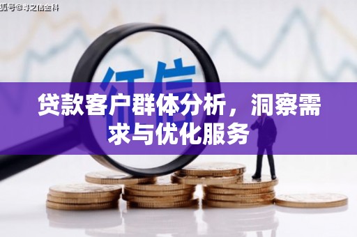 漳县贷款客户群体分析，洞察需求与优化服务